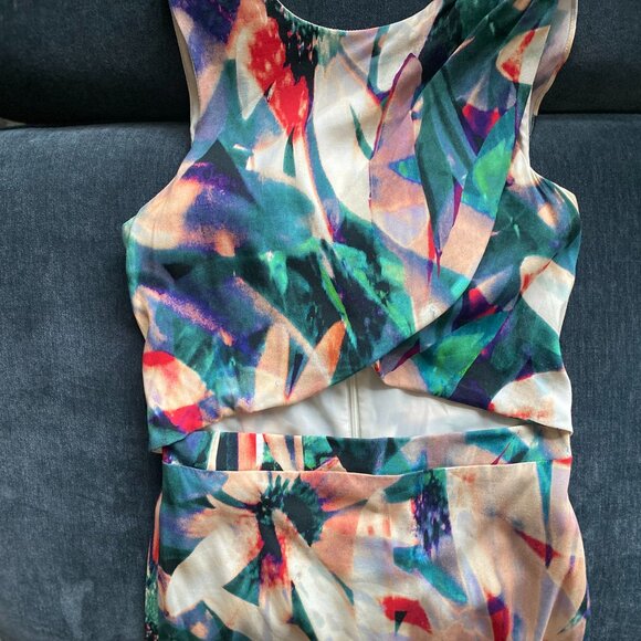 Artelier Nicole Miller Calatheas Floral Ruffle Cutout Hi-Lo Sheath, Size 4 - Picture 6 of 10